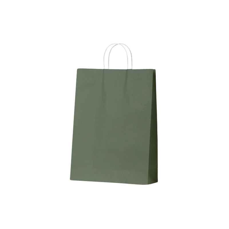 Earth Collection Paper Carry Bags Earth Green